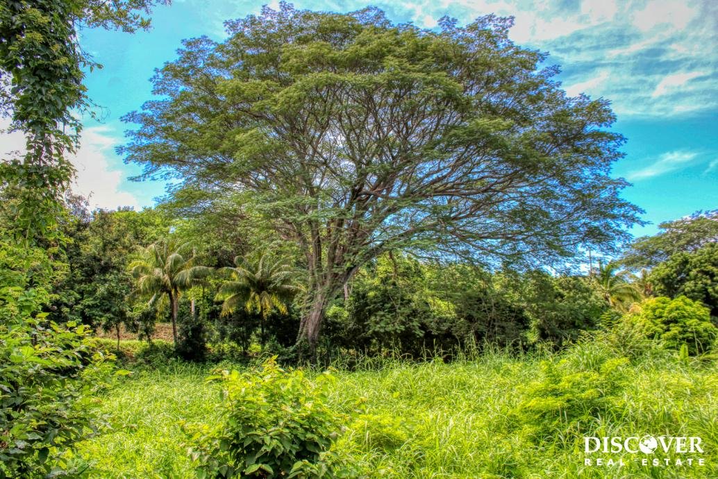 Ocean views, Rancho Papayal Lot 73, San Juan Del Sur! Papayal 7374 (6) (2)