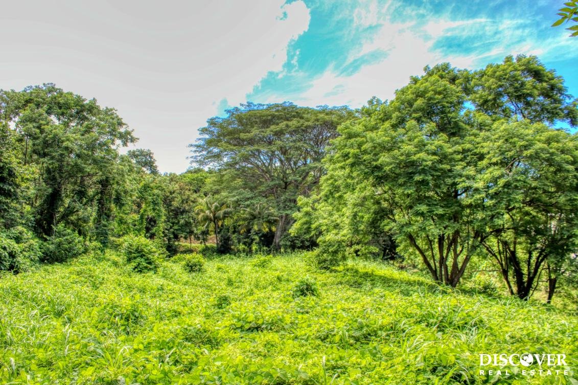 Rancho Papayal 1.2 acres, Peaceful Ocean and Forest Views Papayal 7374 (8) (1)