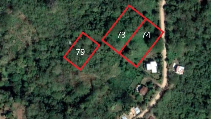 Papayal Sat Lot Outline (1)