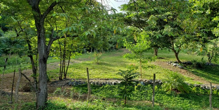 243416178_644015846842547_3459602458737797195_n