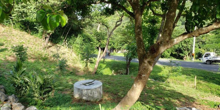 257357705_4741918019249656_9165810519743045884_n