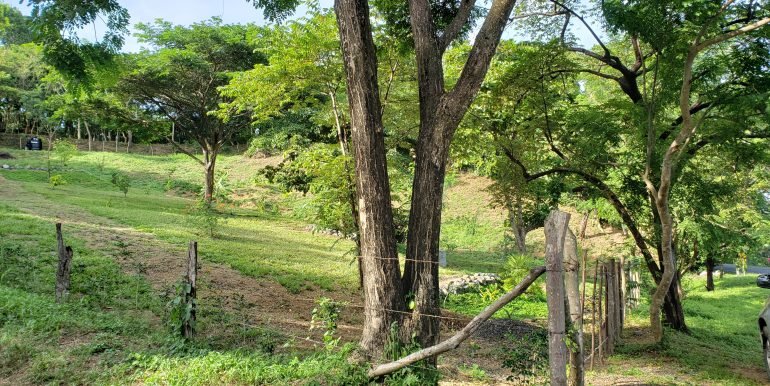 257450477_347138493738183_4485785318734946365_n