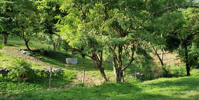 259336955_343273524332377_1908686215007943557_n