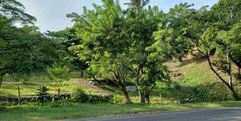 266018082_349333727027344_6791423929060388556_n