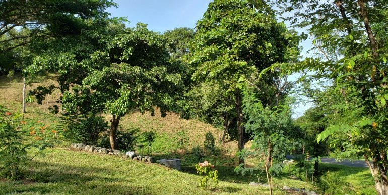 269765564_1114464862705079_2393741002761603819_n