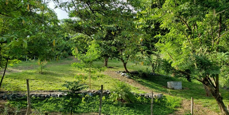 269919167_1159397351465081_6171532979166937869_n