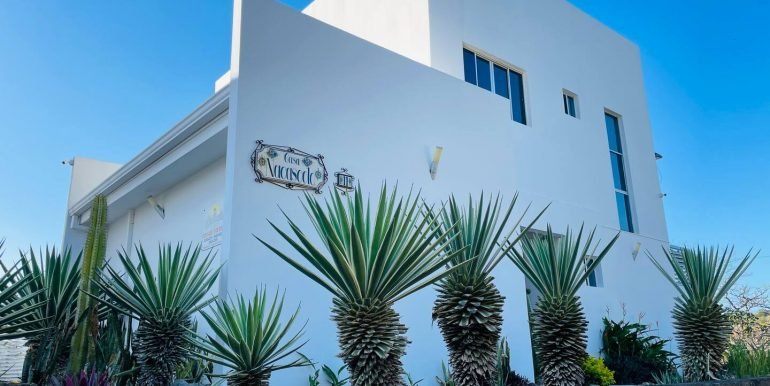 c5c35530-b3e8-4c2f-b30d-b10126bf0f3c