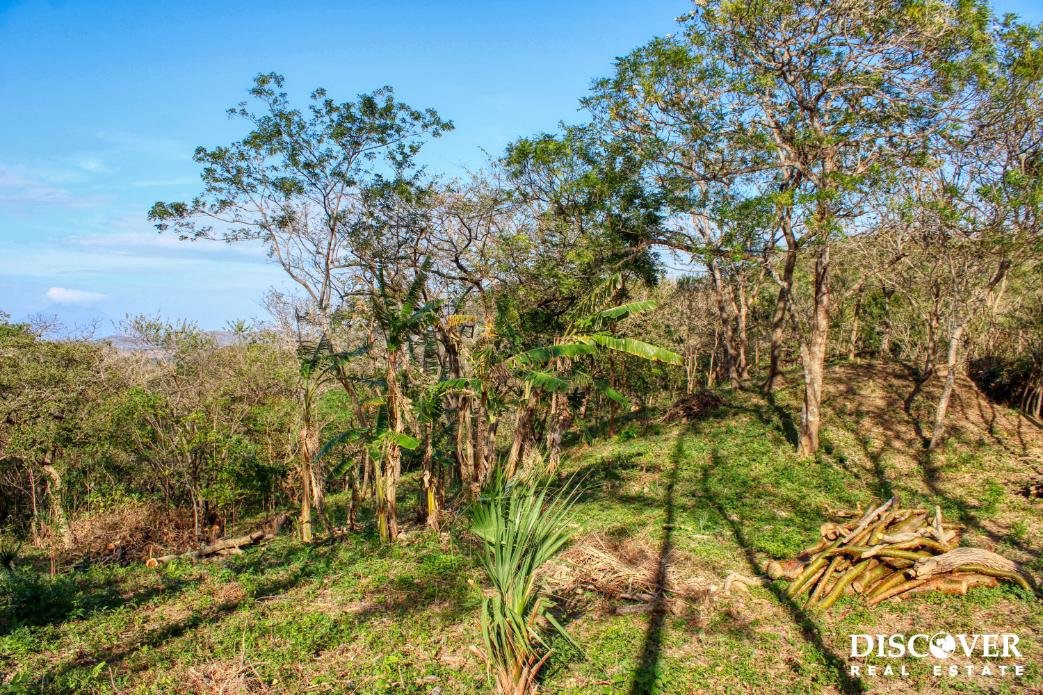 Mountain to Beach, Half-acre, View - La Cuesta, SJDS! -"Financing Available"- Cuesta (5)