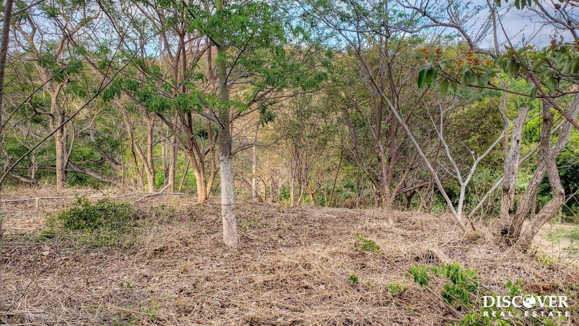 Lot 35 Jungle Cool, Beach Near, Steps to Pool Lot 35 Jungle