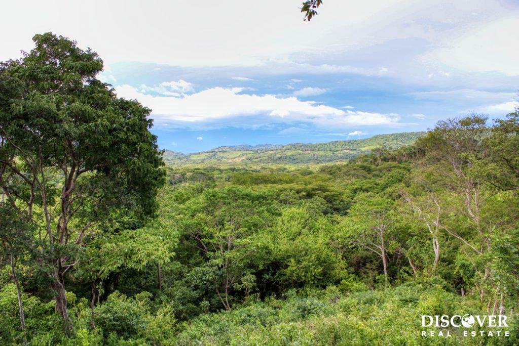 7 Acre View Homesite