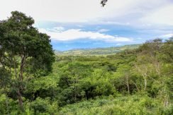 7 Acre View Homesite