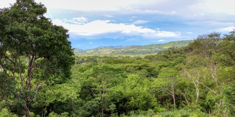 1Williamsbackside (6)