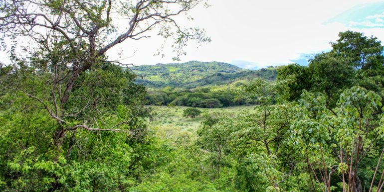 2Williamsbackside (7)