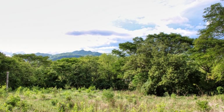 3Williamsbackside (15)