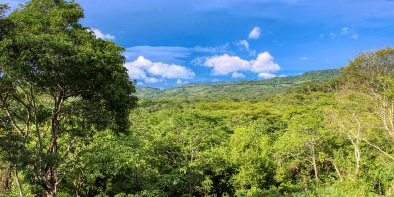 5Williamsbackside (18)