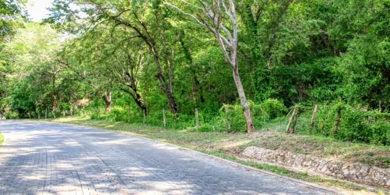 Williamsbackside (1)