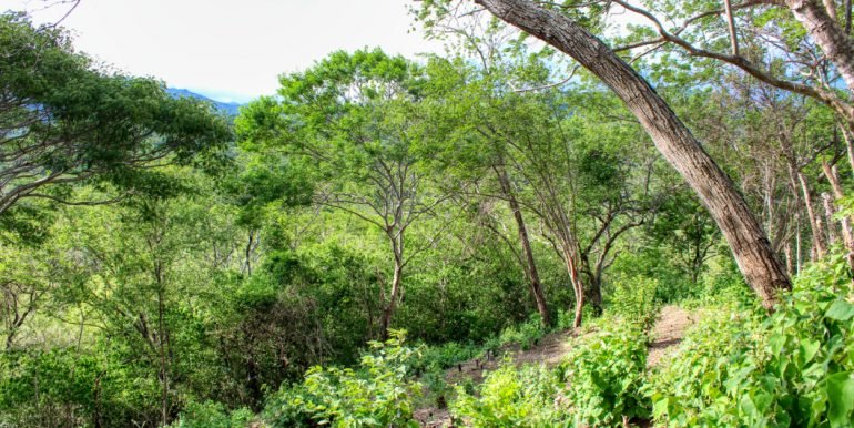 Williamsbackside (11)