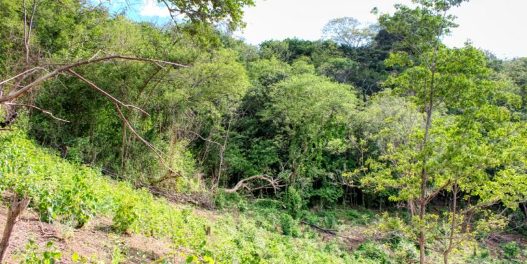 Williamsbackside (12)