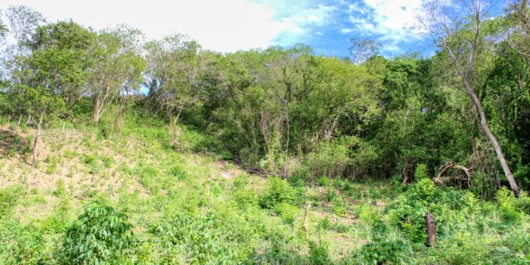 Williamsbackside (13)