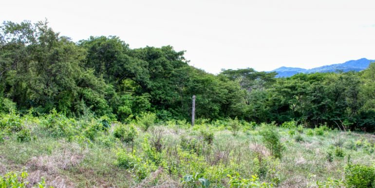 Williamsbackside (16)