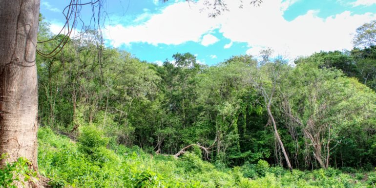 Williamsbackside (17)