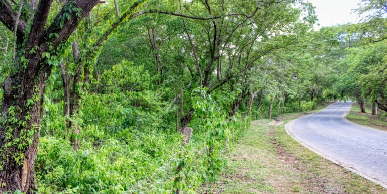 Williamsbackside (2)