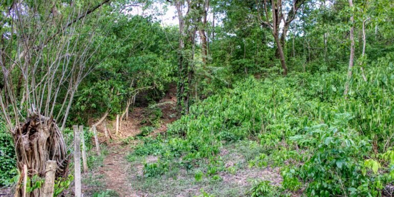 Williamsbackside (3)