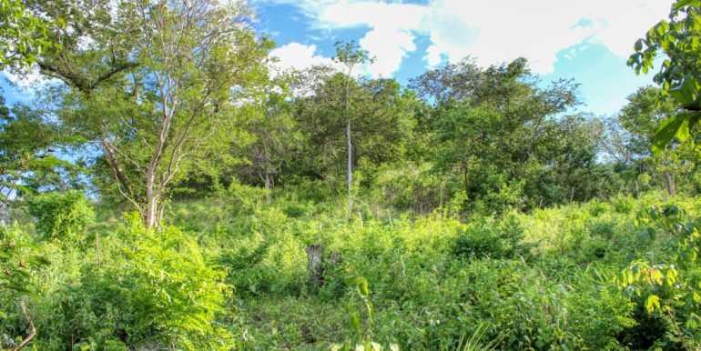 Williamsbackside (4)