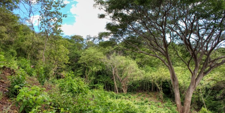 Williamsbackside (8)