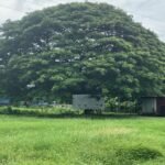 Commercial Property – Cabañas Del Sur-San Juan Del Sur! Commercial Property – Cabañas Del Sur-San Juan Del Sur!