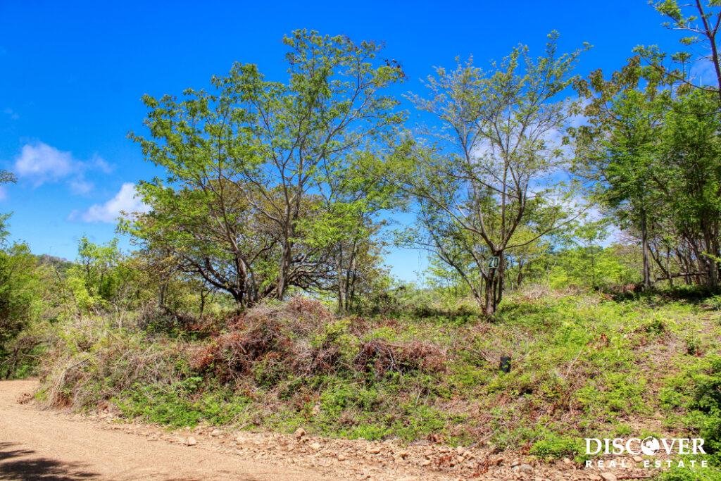 2.5 acres Nature’s Paradise, Las Fincas Lot 20