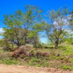 2.5 acres Nature’s Paradise, Las Fincas Lot 20 2.5 acres Nature’s Paradise, Las Fincas Lot 20