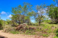 2.5 acres Nature’s Paradise, Las Fincas Lot 20