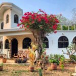 Sanctuary in Camino del Sol: A Nature Lover's Dream Sanctuary in Camino del Sol: A Nature Lover's Dream