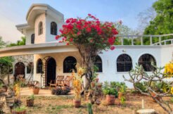 Sanctuary in Camino del Sol: A Nature Lover's Dream