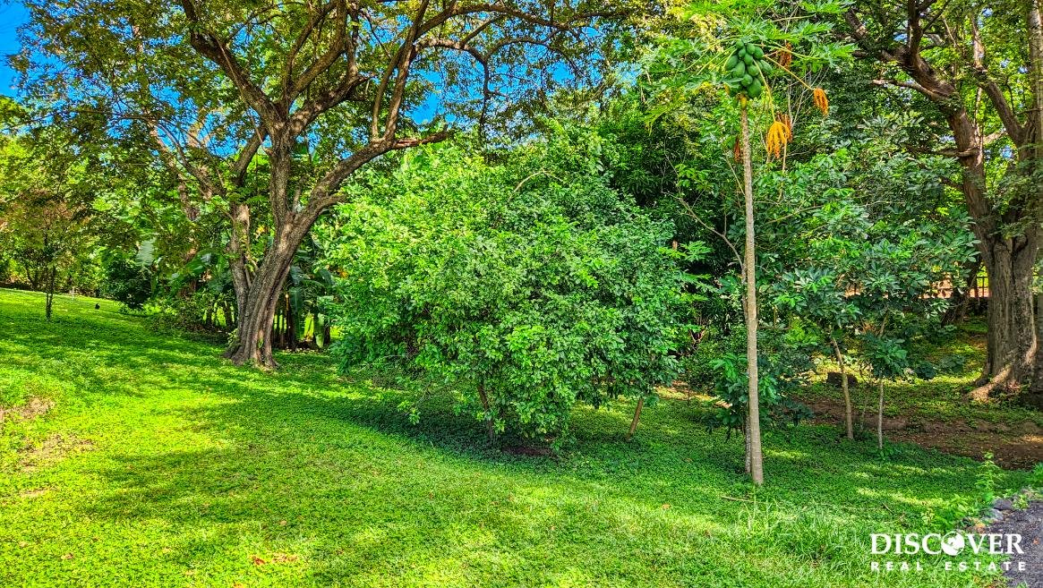 discover real estate terms and conditions