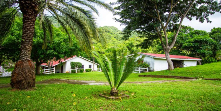 Finca-Conuco-7-1110x623