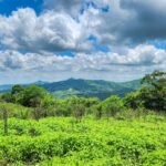 12 Acres Ocean View, Peaceful Hills! 12 Acres Ocean View, Peaceful Hills!