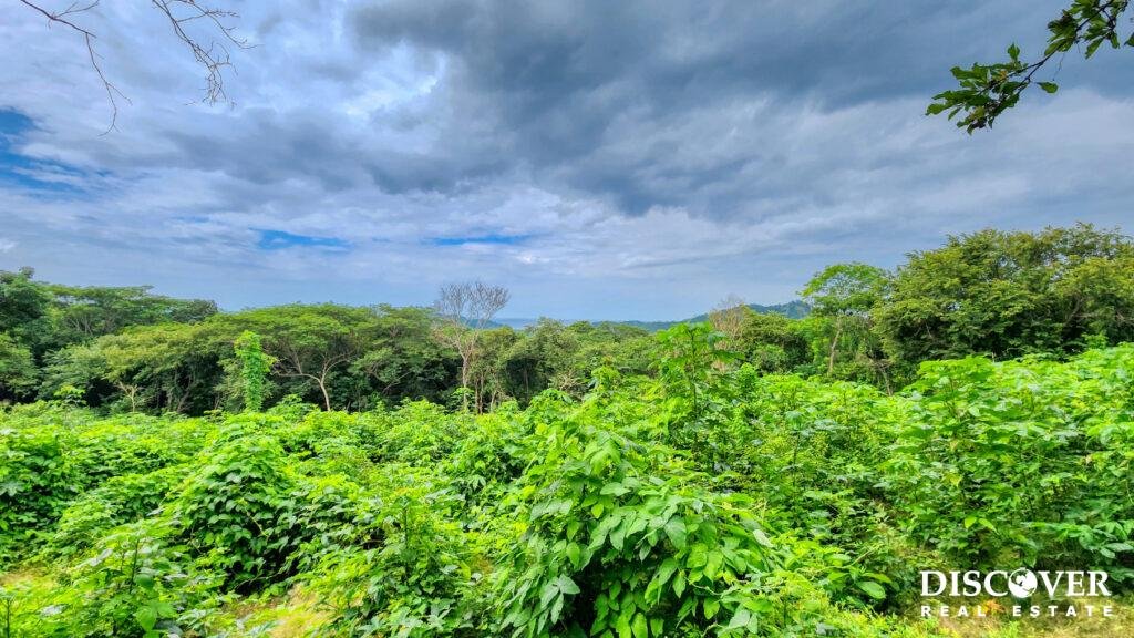 16+ Acres of Lush Hilltop
