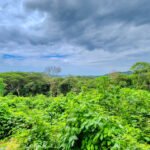 16+ Acres of Lush Hilltop Forest, San Juan del Sur 16+ Acres of Lush Hilltop