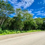Road to Remanso, Commercial/Residential Land Road to Remanso, Commercial/Residential Land