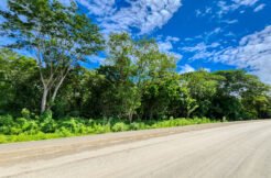 Road to Remanso, Commercial/Residential Land