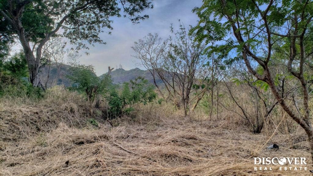 Lot 35 Jungle Cool, Beach Near, Steps to Pool