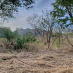 Lot 35 Jungle Cool, Beach Near, Steps to Pool Lot 35 Jungle Cool, Beach Near, Steps to Pool