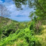 25 Acres of Pristine Nicaraguan Jungle