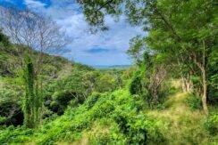 25 Acres of Pristine Nicaraguan Jungle