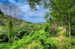 25 Acres of Pristine Nicaraguan Jungle