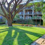 Builder’s Last Unit, 1-bedroom, Rooftop, Talanguera Townhomes Builder’s Last Unit, 1-bedroom, Rooftop, Talanguera Townhomes