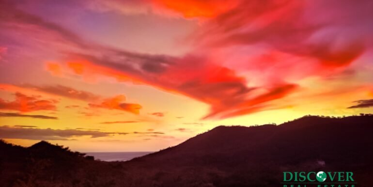 WhatsApp Image 2025-02-20 at 12.25.12