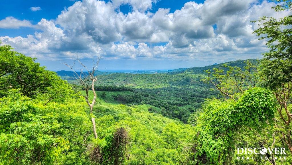 Developer’s Last Estates, up to 40 acres